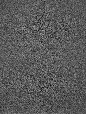 Ковролин AW Terra 98 фото 1 | FLOORDEALER